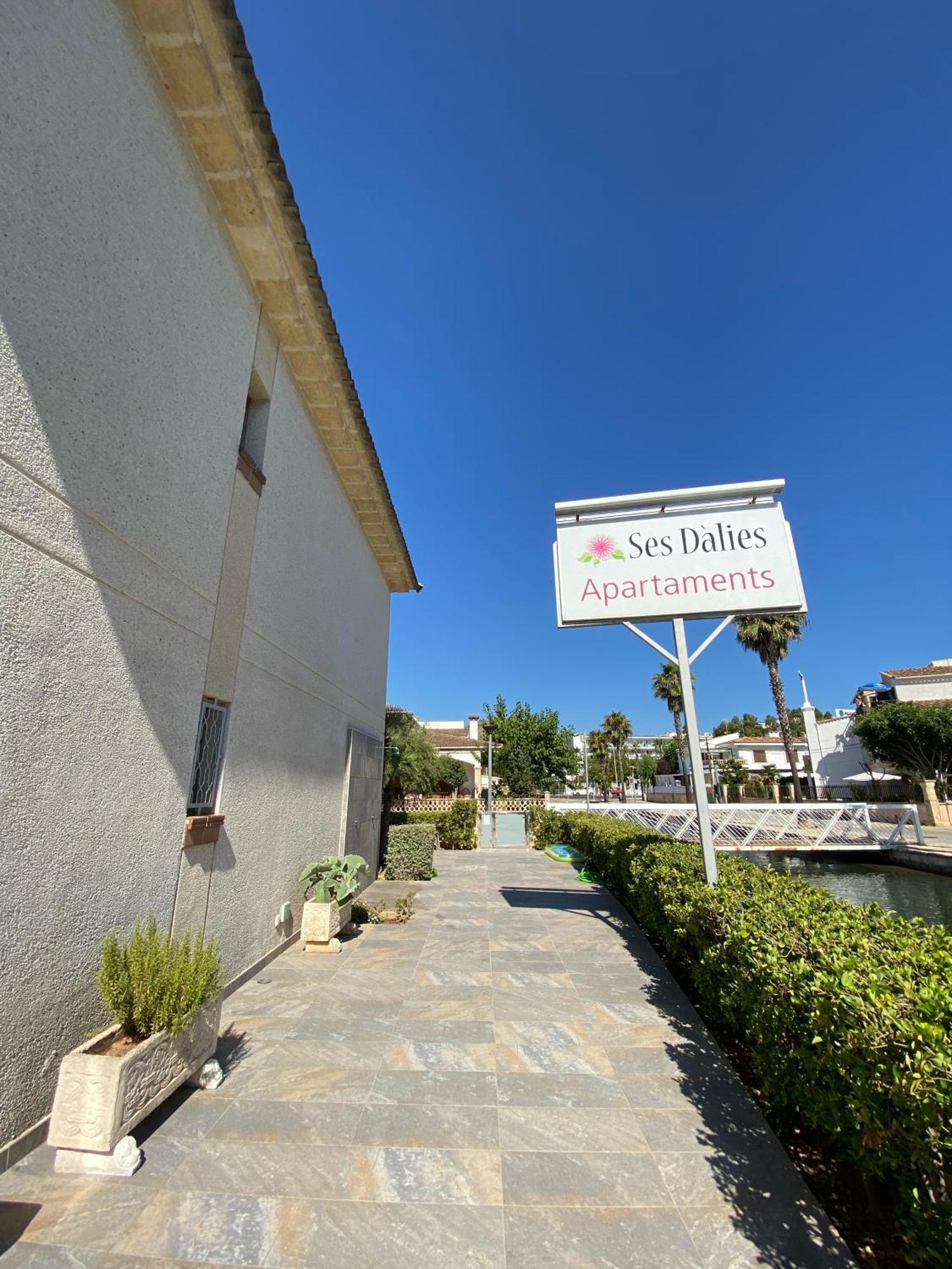 Apartaments Ses Dàlies Port de Alcudia (Mallorca) Exterior foto