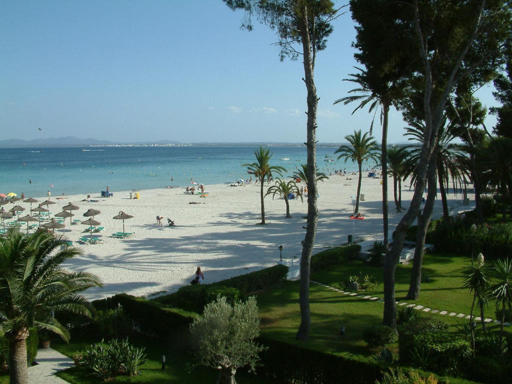 Apartaments Ses Dàlies Port de Alcudia (Mallorca) Exterior foto