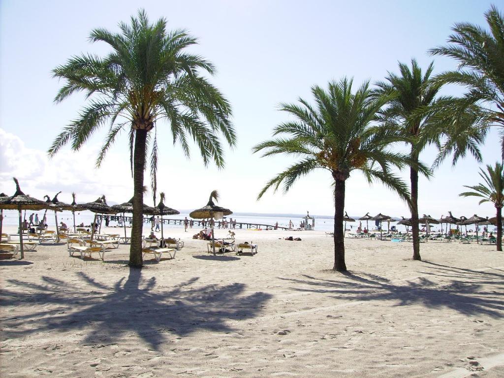 Apartaments Ses Dàlies Port de Alcudia (Mallorca) Exterior foto